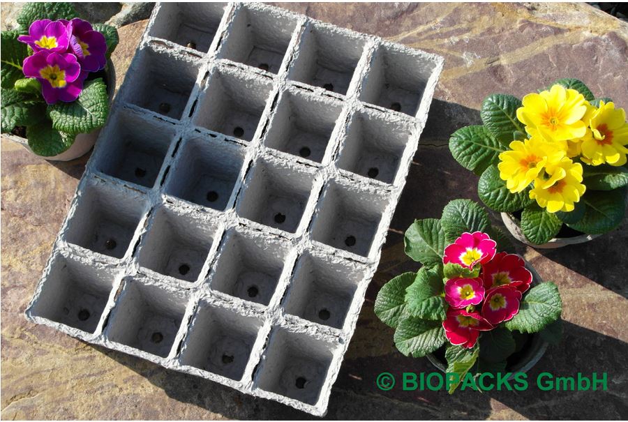 Papierpflanztöpfe Wabe 4x5