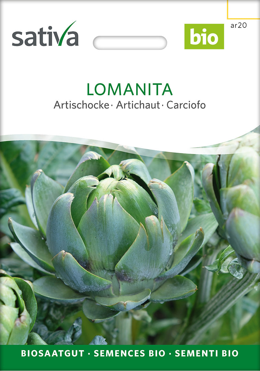 BIO Saatgut Artischocke Lomanita