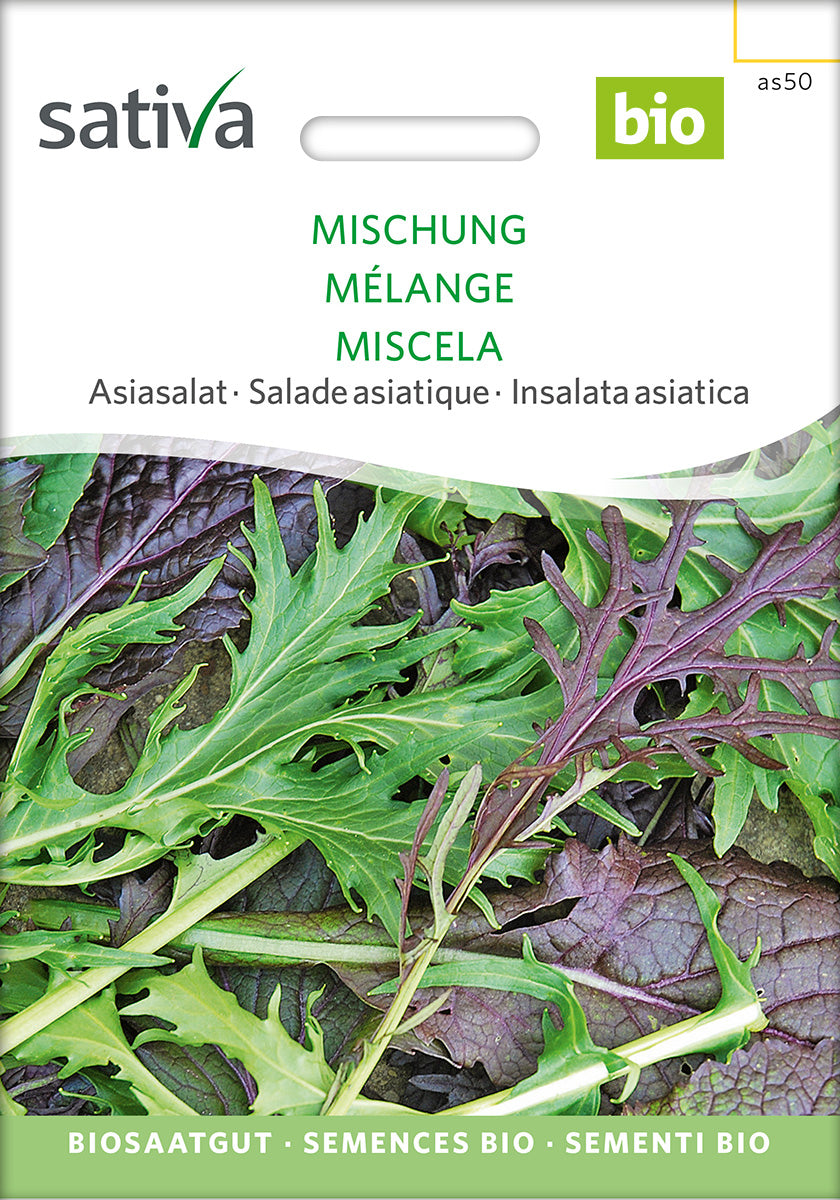 BIO Saatgut Asiasalat Mischung