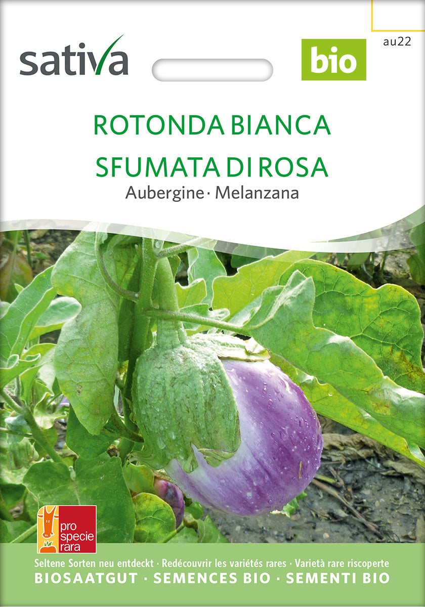 BIO Saatgut Aubergine Rotonda Bianca Sfumata Di Rossa
