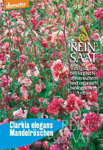 BIO Saatgut Mandelröschen