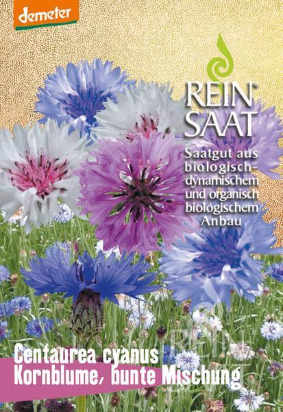 BIO Saatgut Kornblume bunt