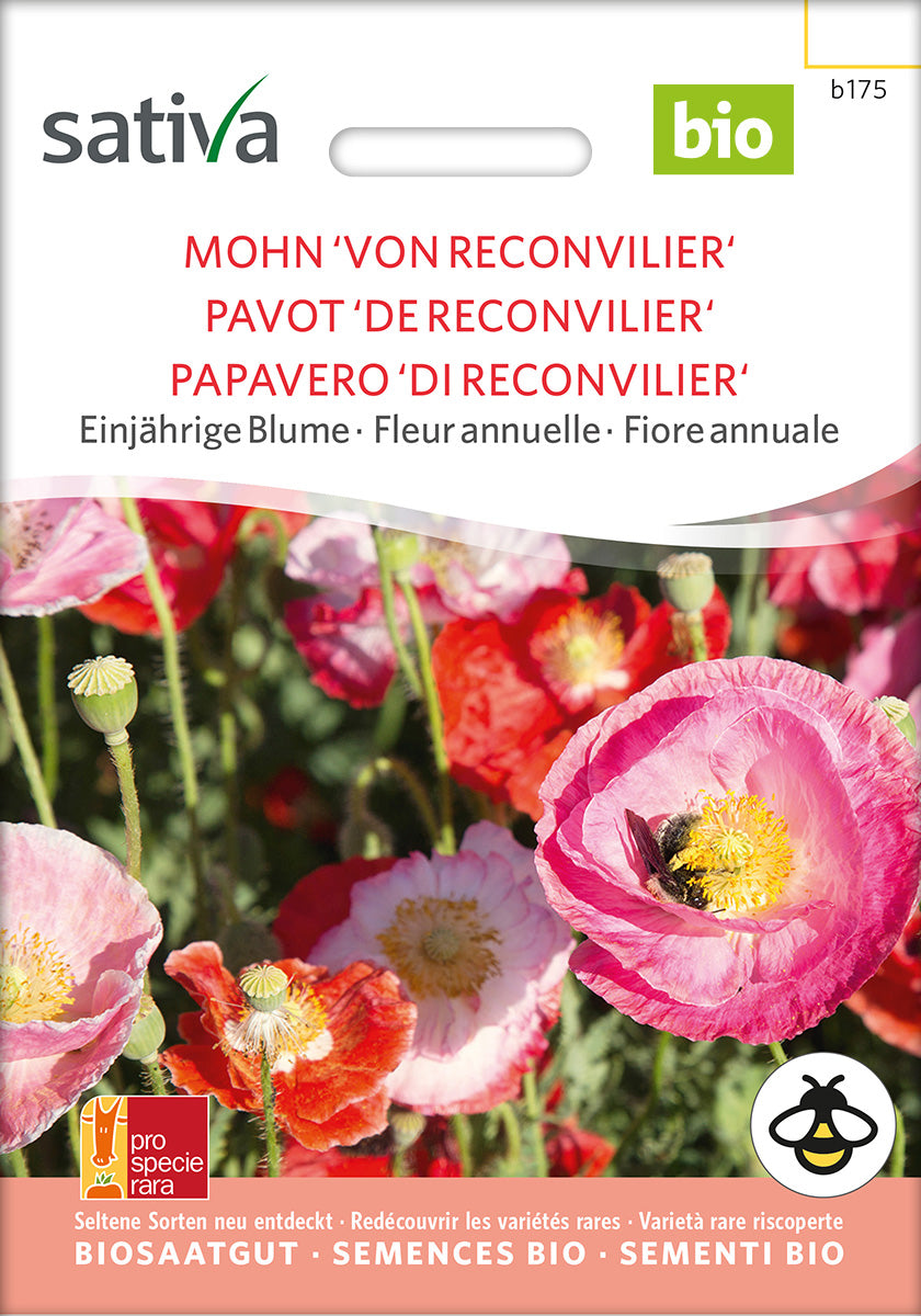 BIO Saatgut Mohn von Reconvilier