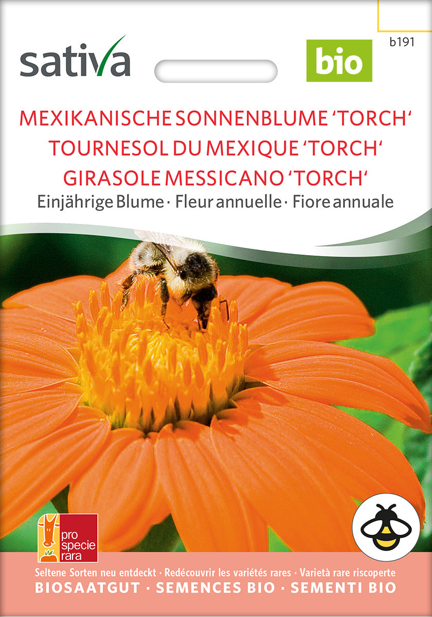 BIO Saatgut Mexikanische Sonnenblume 'Torch'
