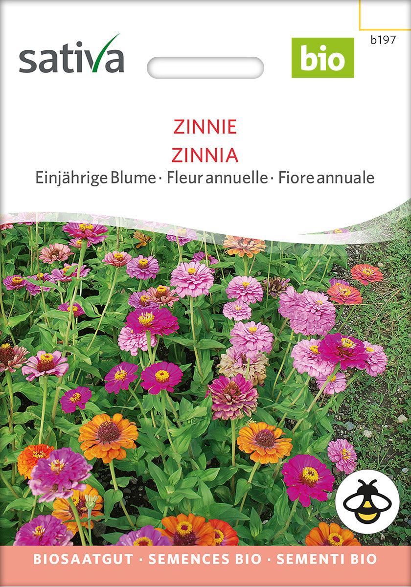 BIO Saatgut Zinnie – Biogartenladen