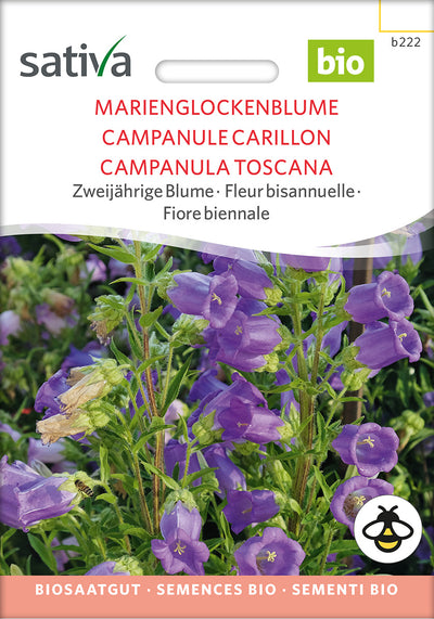 BIO Saatgut Marienglockenblume