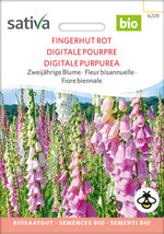 BIO Saatgut Fingerhut rot
