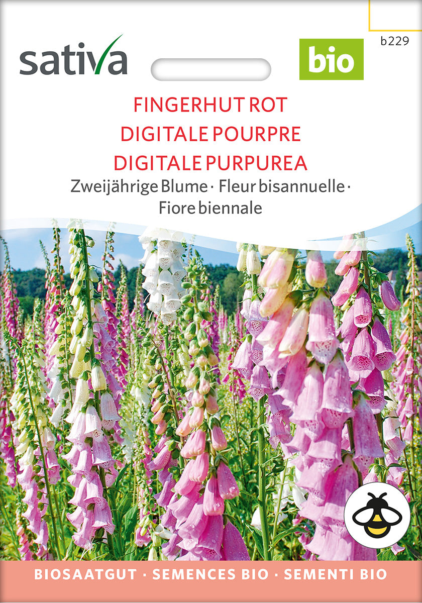 BIO Saatgut Fingerhut rot