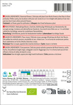 BIO Saatgut Prachtkerze Kulturanleitung