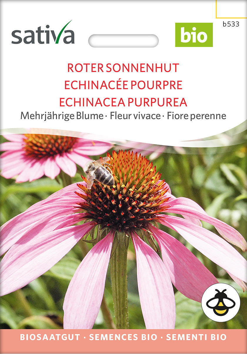 BIO-Saatgut Roter Sonnenhut in Demeter-Qualität – samenecht und nachbaufähig für bienenfreundliche Staudenbeete