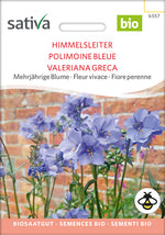 BIO Saatgut Himmelsleiter