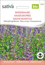 BIO Saatgut Wiesensalbei