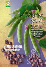 BIO Saatgut Stangenbohne Forellenbohne
