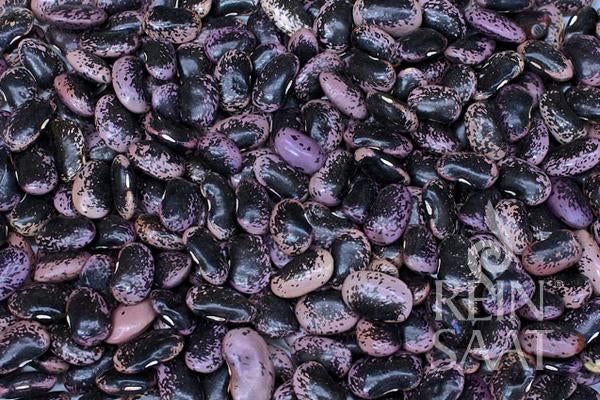 BIO Saatgut Feuerbohne Bonela Reinsaat