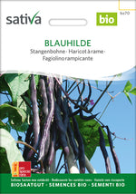 BIO Saatgut Stangenbohne Blauhilde