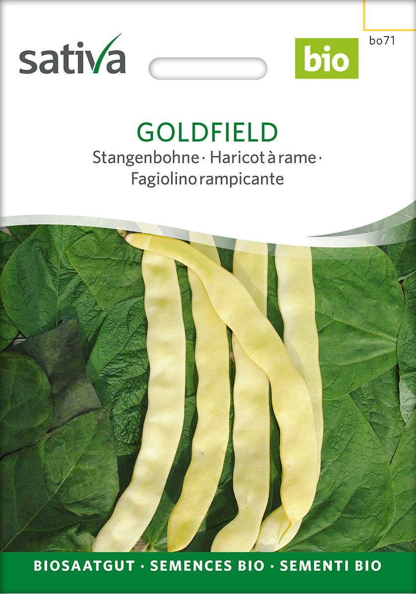 BIO Saatgut Stangenbohne Goldfield – Biogartenladen