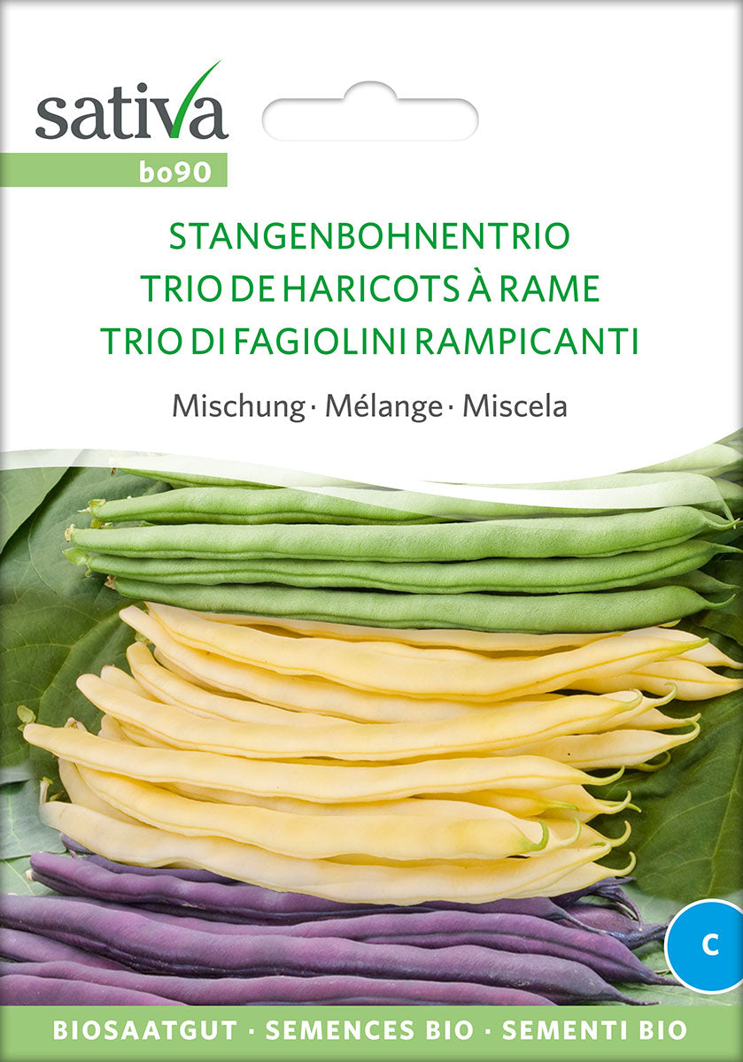 BIO Saatgut Stangenbohnentrio