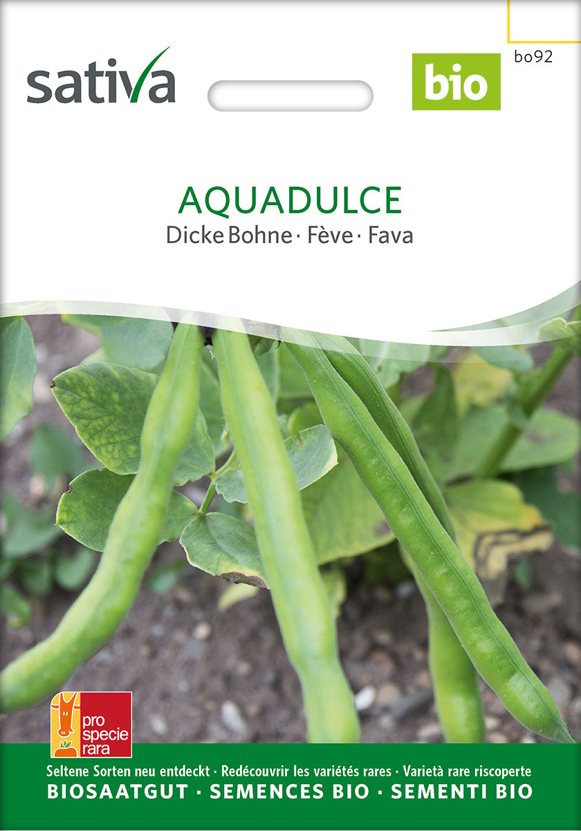 BIO Saatgut Dicke Bohne Aqua Dulce – Biogartenladen