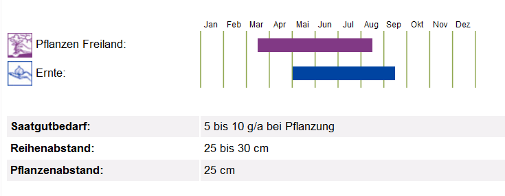 BIO Saatgut Pflücksalat Cerbiatta, Kulturanleitung