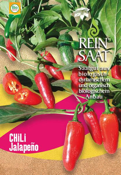 BIO Saatgut Chili Jalapeno Ruben