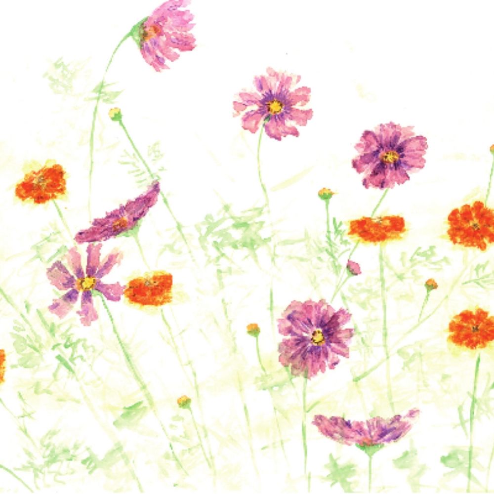 Geschenkgutschein im Cosmea-Motiv von biogartenladen.de – nachhaltig, liebevoll gestaltet, ideal für Gartenfreunde und Naturbegeisterte