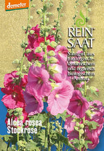 BIO Saatgut Stockrose