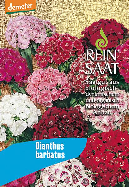 Demeter Bartnelke Saatgut – samenechte Blühmischung mit weißen bis dunkelroten Blüten, ideal für Naturgarten & Schnitt