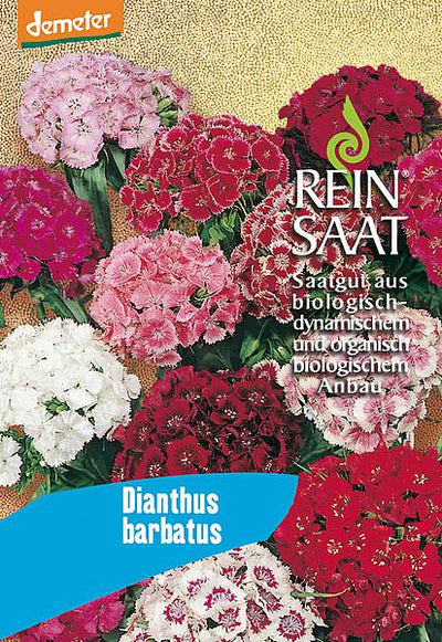 BIO Saatgut Bartnelke