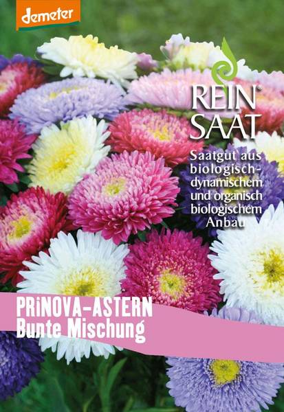 BIO Saatgut Sommerastern-Mischung