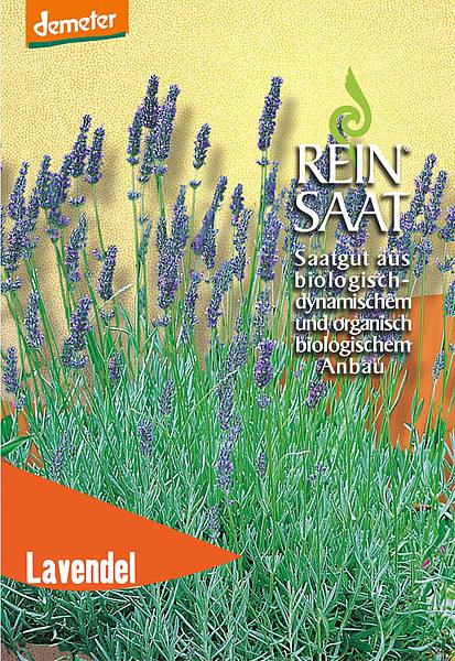 BIO Saatgut Lavendel