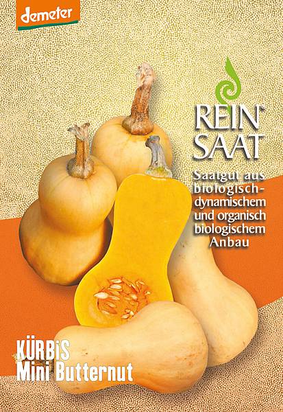 BIO Saatgut Kürbis Mini Butternut – Biogartenladen