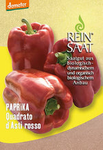 BIO Saatgut Paprika Quadrato d´Asti Rosso