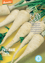 BIO Saatgut Petersilienwurzel Kinsky