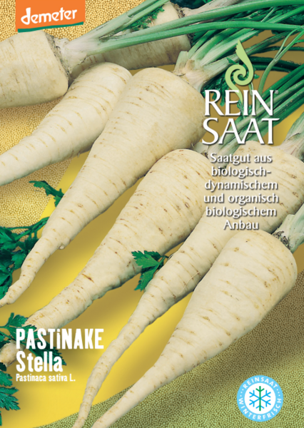 BIO Saatgut Petersilienwurzel Kinsky