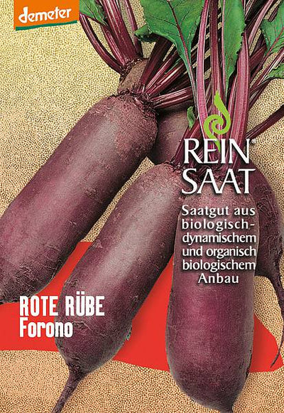 BIO Saatgut Rote Bete Forono