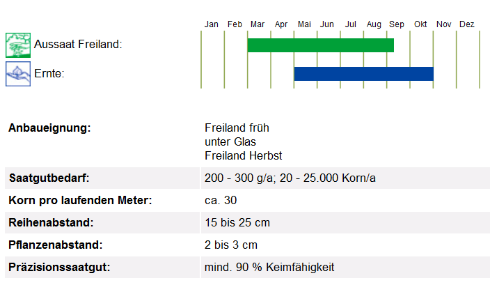 BIO Saatgut Radies Eiszapfen, Kulturanleitung