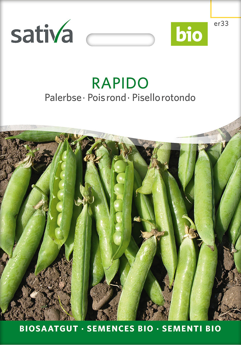 BIO Saatgut Palerbse Rapido – Biogartenladen