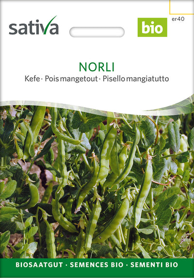 BIO Saatgut Zuckererbse Norli
