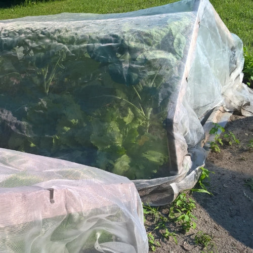 Neudorff KulturschutzNetz Anwendung mit Frühbeet biogartenladen