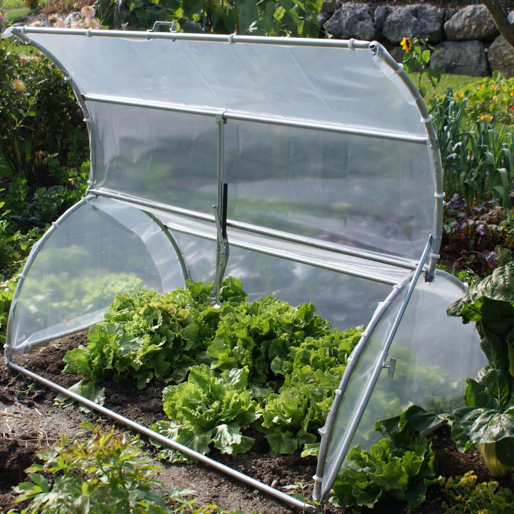 Frühbeet-Tunnel 170 x 100 x 60 cm