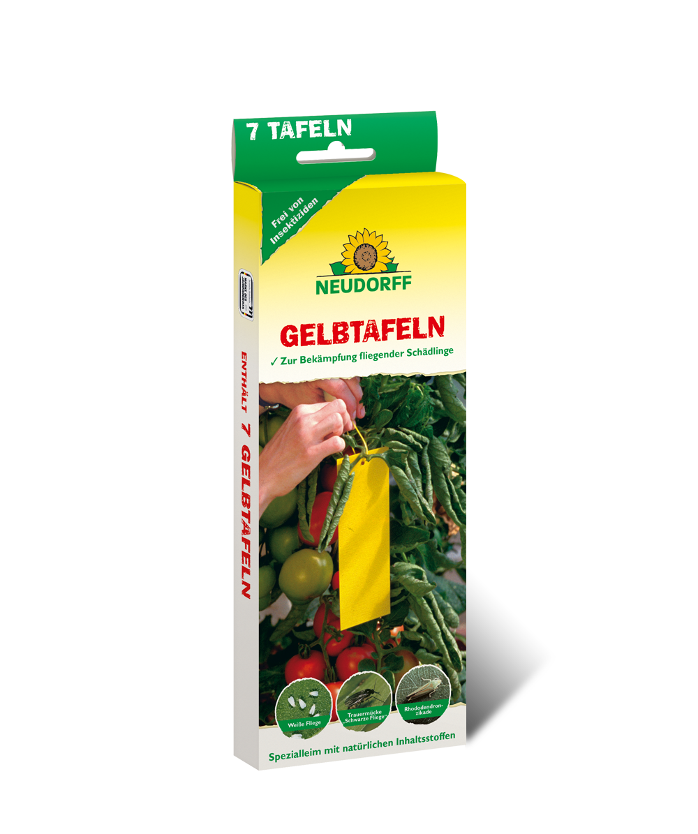 Beleimte Gelbtafeln von Neudorff zur giftfreien Schädlingsbekämpfung im Gewächshaus – nachhaltige Insektenfalle für biologische Gärten
