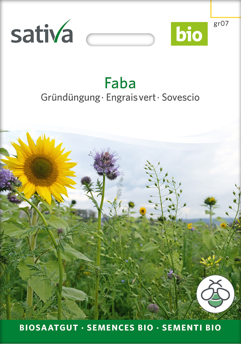 BIO Saatgut Gründüngung Faba