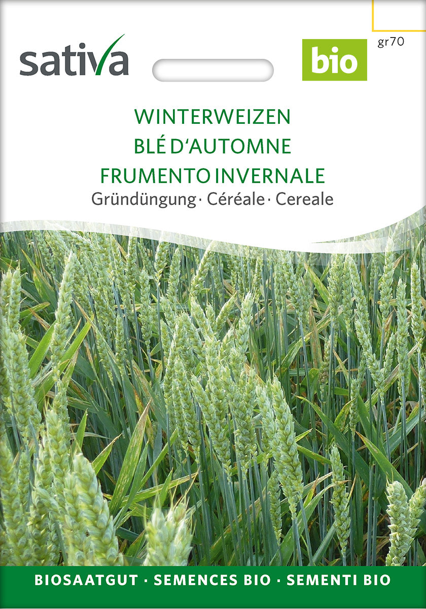BIO Saatgut Getreide Winterweizen – Biogartenladen