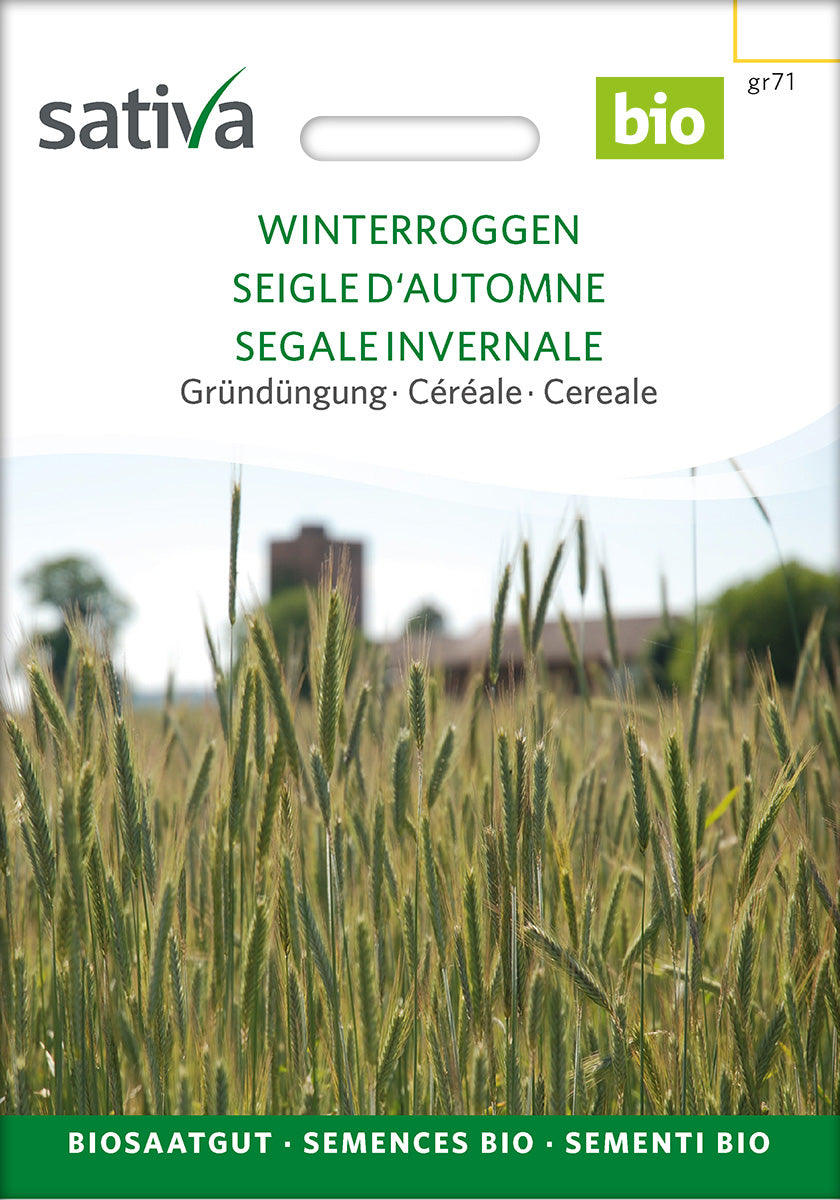 BIO Saatgut Getreide Winterroggen – Biogartenladen