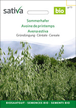 BIO Saatgut Getreide Sommerhafer