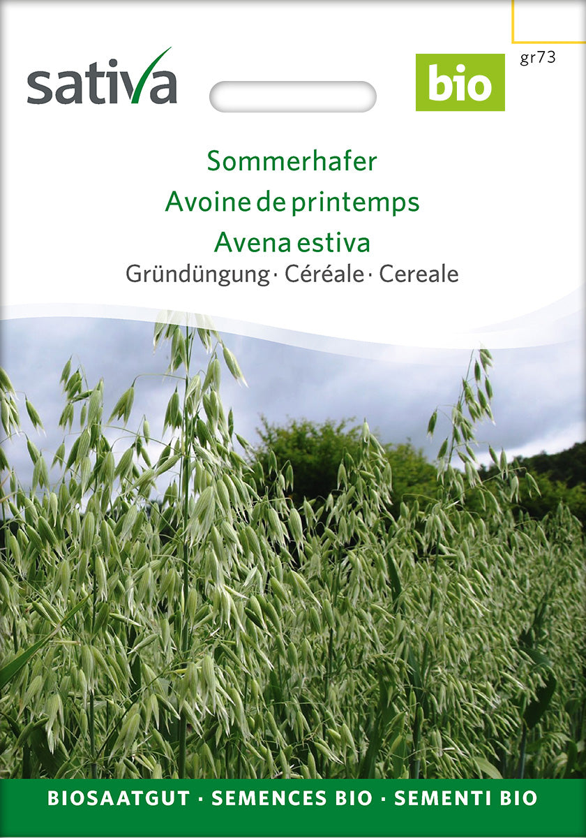 BIO Saatgut Getreide Sommerhafer