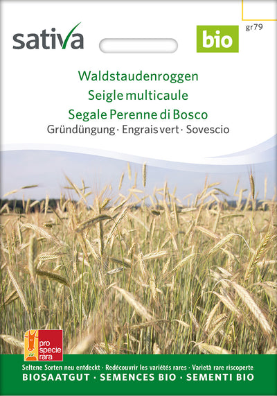 BIO Saatgut Getreide Waldstaudenroggen