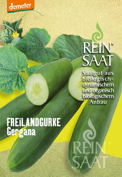 BIO Saatgut Freilandgurke Gergana
