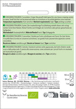 BIO Saatgut Einlegegurke Vorgebirgstrauben Kulturanleitung