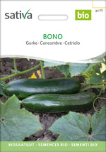 BIO Saatgut Freilandgurke Bono